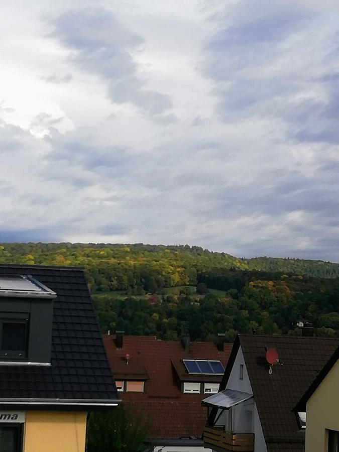 Ferienappartement Obrigheim Mosbach  Exterior photo