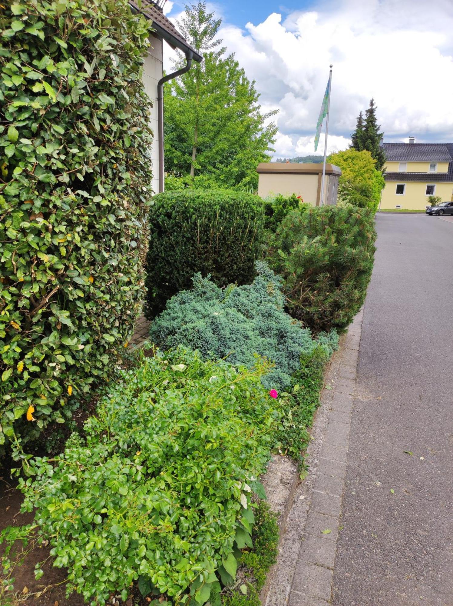 Ferienappartement Obrigheim Mosbach  Exterior photo