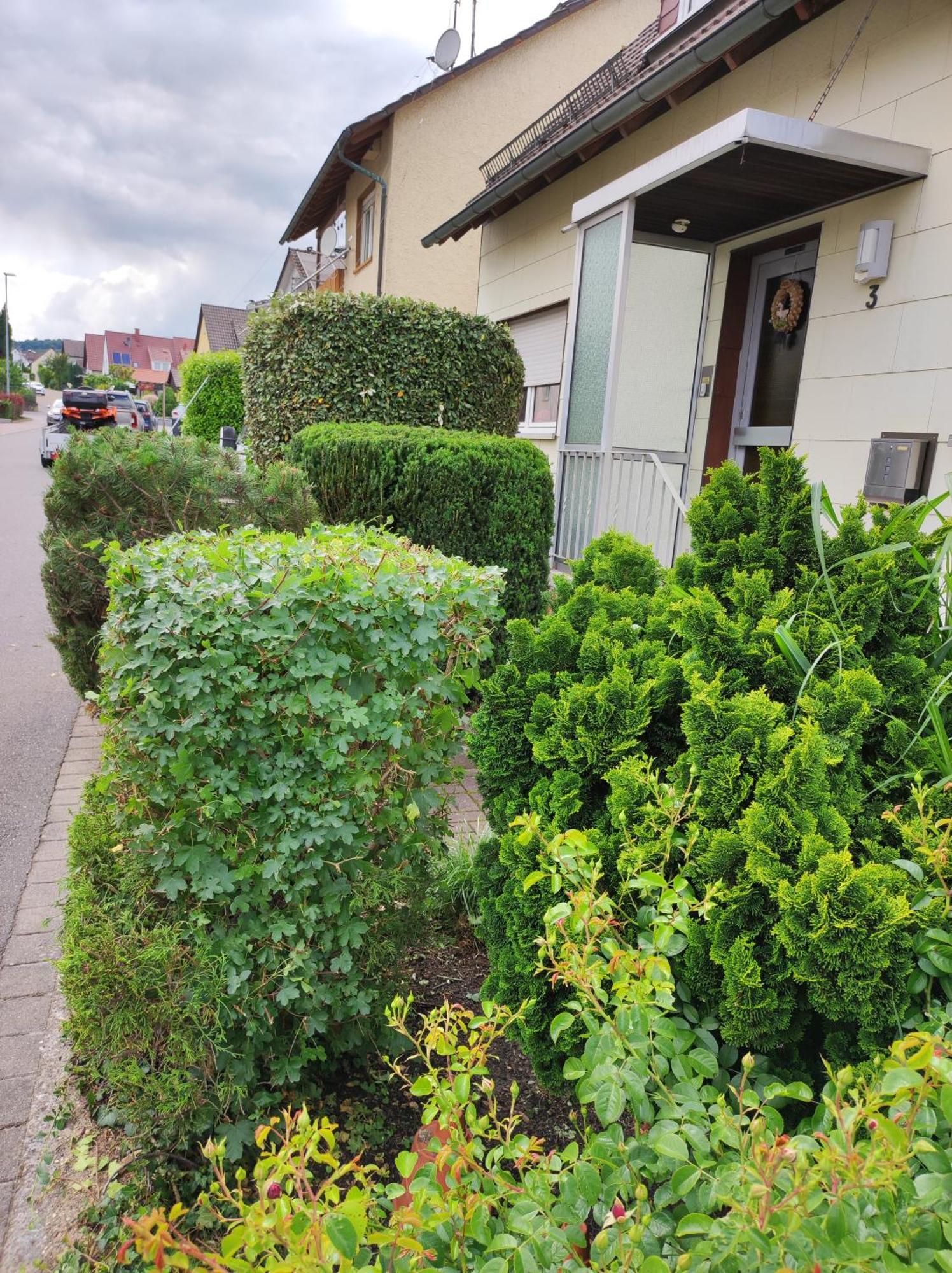 Ferienappartement Obrigheim Mosbach  Exterior photo